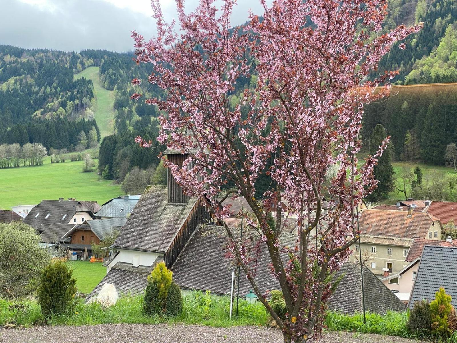 Ferienhaus Kramser Arnoldstein Exterior foto